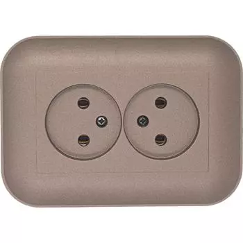2-местная розетка OVIVO LOFT 404-190319-908