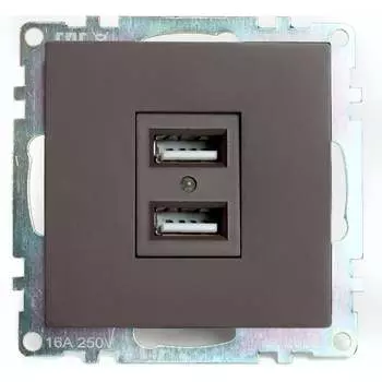2-местная USB розетка STEKKER R GLS10-7115-04 серия Катрин 49027