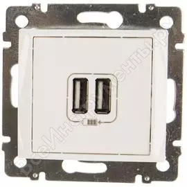 Двойная розетка usb Legrand