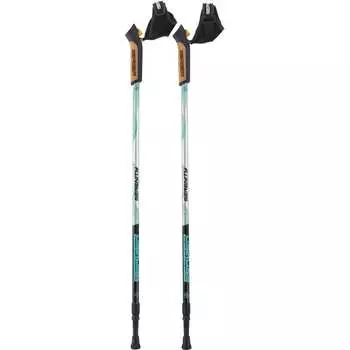 2-секционные скандинавские палки Berger