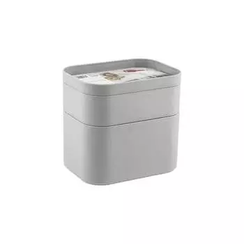 3-секционный органайзер PROFF PLASTIK MINI ИН-2601872с