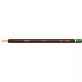 Заточенный цветной карандаш Vista-Artista 622 Майский зеленый, May green 554676