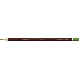 Заточенный цветной карандаш Vista-Artista 611 Травяной зеленый, Sap green 554677