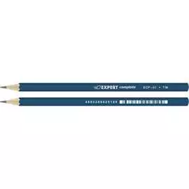 Чернографитный карандаш Expert Complete ECP-01 581256