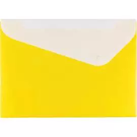 Папка-конверт Expert Complete