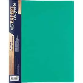 Папка Expert Complete 587947