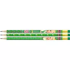 Набор графитных карандашей Воскресенская карандашная фабрика Василиса ТМ, HB Hot Print 603260