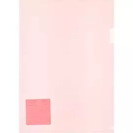 Папка-уголок Expert Complete