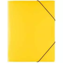 Папка Expert Complete 605538