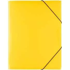 Папка Expert Complete 605703