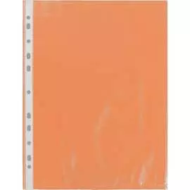 Файл-вкладыш Expert Complete 628081