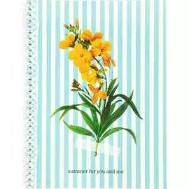 Тетрадь SVETOCH