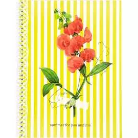 Тетрадь SVETOCH