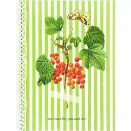 Тетрадь SVETOCH