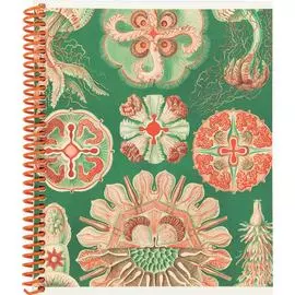 Тетрадь SVETOCH