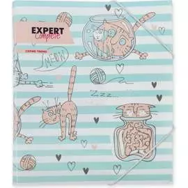 Папка Expert Complete 647673