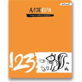 Предметная тетрадь SVETOCH