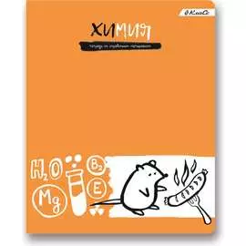 Предметная тетрадь SVETOCH