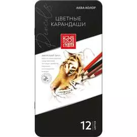 Набор цветных карандашей Аква-колор 665827