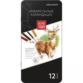 Набор акварельных карандашей Аква-колор 665829