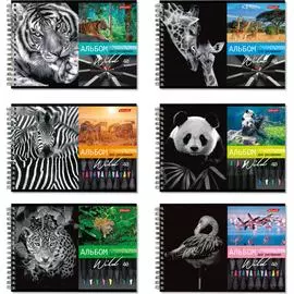 Альбом для рисования SVETOCH