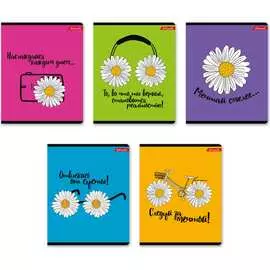 Общая ученическая тетрадь SVETOCH