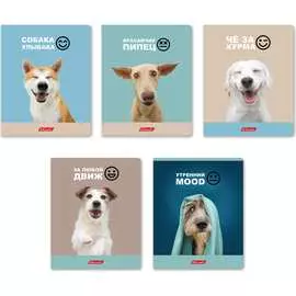 Общая ученическая тетрадь SVETOCH