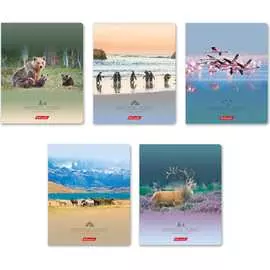 Общая ученическая тетрадь SVETOCH