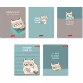 Общая ученическая тетрадь SVETOCH