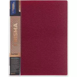 Папка Expert Complete 678184