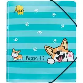 Папка Лео Учись 679191