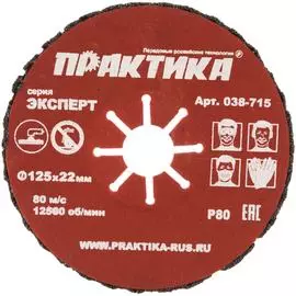 Абразивный торцевой круг ПРАКТИКА 038-715