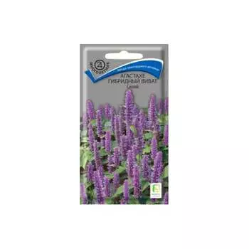 Агастахе гибридный Агрохолдинг ПОИСК Виват Синий 787324