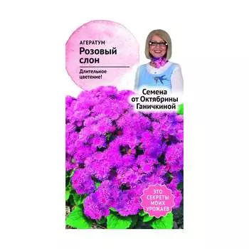 Агератум семена ОКТЯБРИНА ГАНИЧКИНА