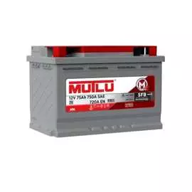 Аккумулятор Mutlu