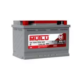 Аккумулятор Mutlu