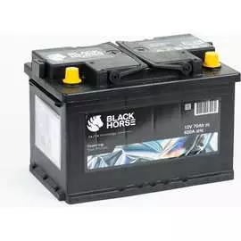 Аккумуляторная батарея Black Horse