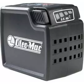 Аккумуляторная батарея Oleo-Mac 5403-0001