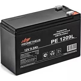 Аккумуляторная батарея Prometheus energy Prometheus PE1209L
