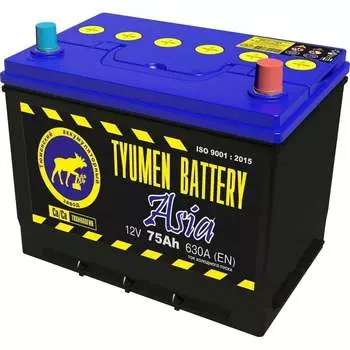 Аккумуляторная батарея TYUMEN BATTERY TNSa75.1