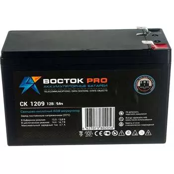 Аккумуляторная батарея Восток СК СК 1209