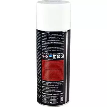 Акриловая аэрозольная краска RAYDAY Rd-069 223215