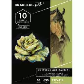 Альбом для пастели BRAUBERG