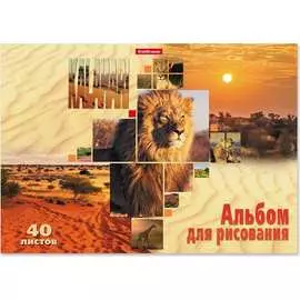 Альбом для рисования ErichKrause