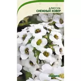 Алиссум семена Садовита Снежный ковер 00160701