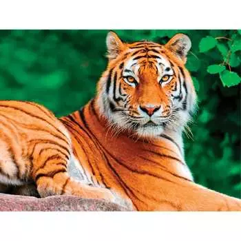 Алмазная мозаика картина стразами Остров сокровищ