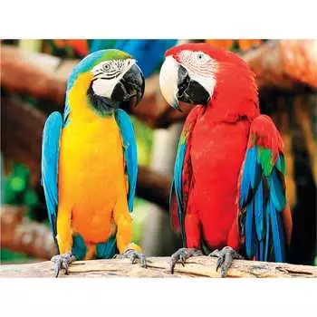 Алмазная мозаика картина стразами Остров сокровищ