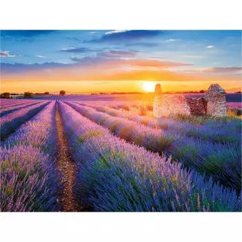 Алмазная мозаика картина стразами Остров сокровищ 662426