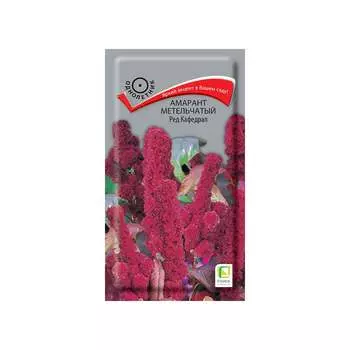 Амарант метельчатый Агрохолдинг ПОИСК Ред Кафедрал 130407
