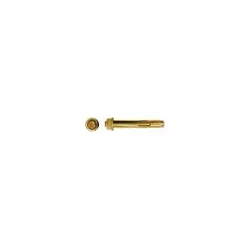 Анкерный болт swfs 20х110 10 шт. тов-071343